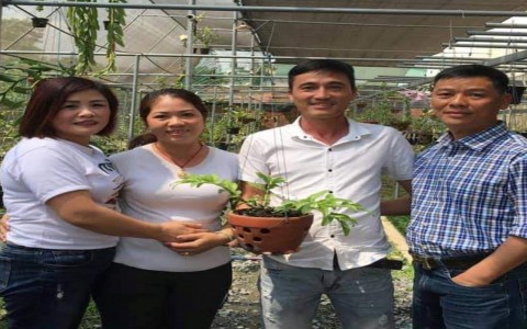 Nhà vườn Nguyễn Hồ Phúc Vinh chia sẻ một số kiến thức về hoa lan Phi Điệp
